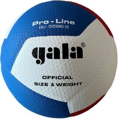 Volleybal Gala Pro-Line 5586S