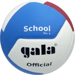 Volleybal Gala School niv.4 Official