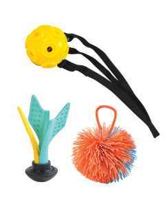 Loon Set