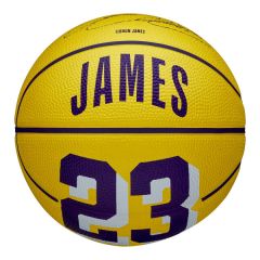 Basketbal Wilson Mini LeBron James