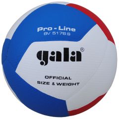 Volleybal Gala Pro-Line 5176S