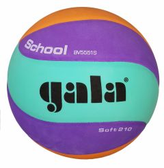 Volleybal Gala School niv.2 Soft 210gr.
