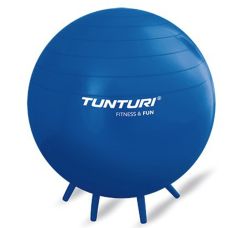 Anti-Burst Sit Ball 65 cm