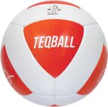 Teqball Bal Official