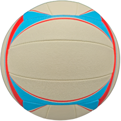 Rinkelvolleybal