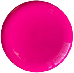 Frisbee Professioneel School