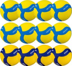 Volleybal Mikasa Schoolset 