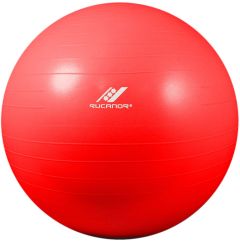 Fitnessbal 