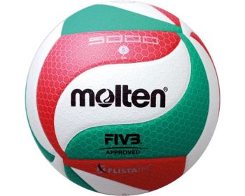 Volleybal Molten V5M5000