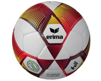 Zaalvoetbal Erima Lowbounce Light