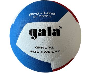 Volleybal Gala Pro-Line 5586S