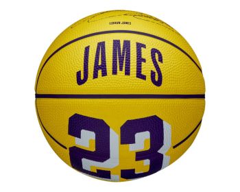 Basketbal Wilson Mini LeBron James