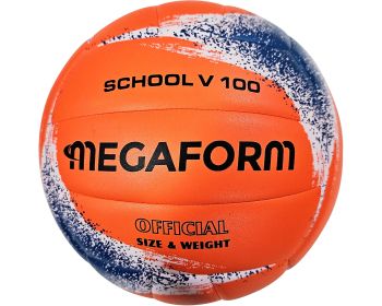 Volleybal Silver